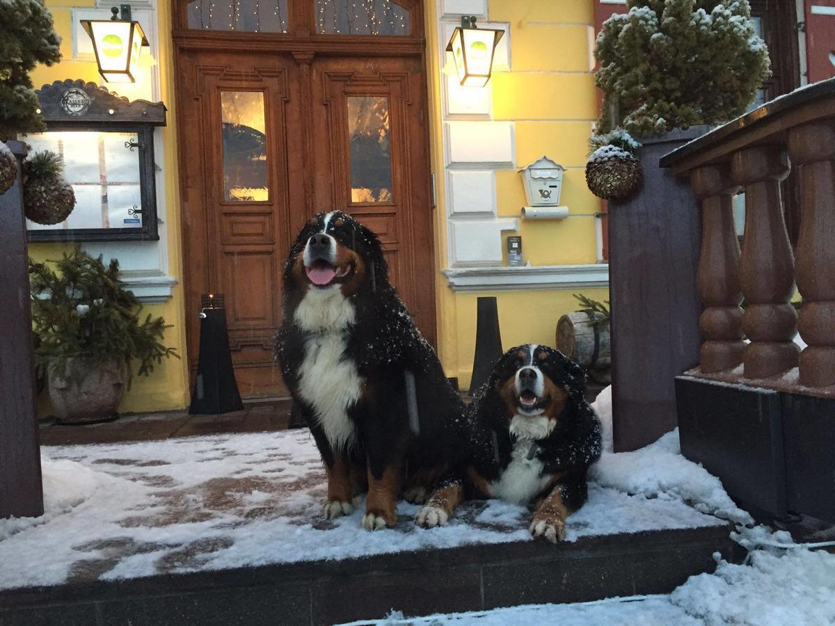 Hotel Gasthof Post 弗希安德格洛可尼 外观 照片
